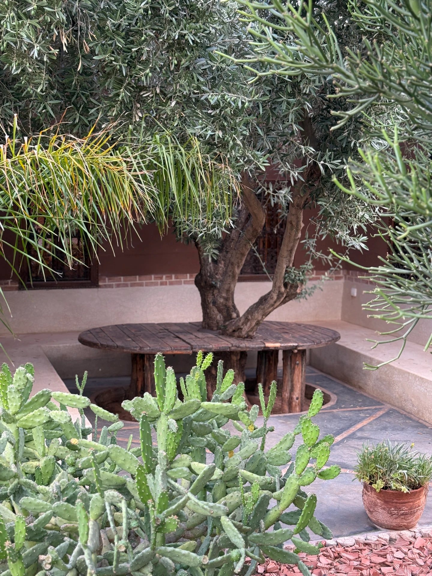 Dayaa Zitoune IMG 5440