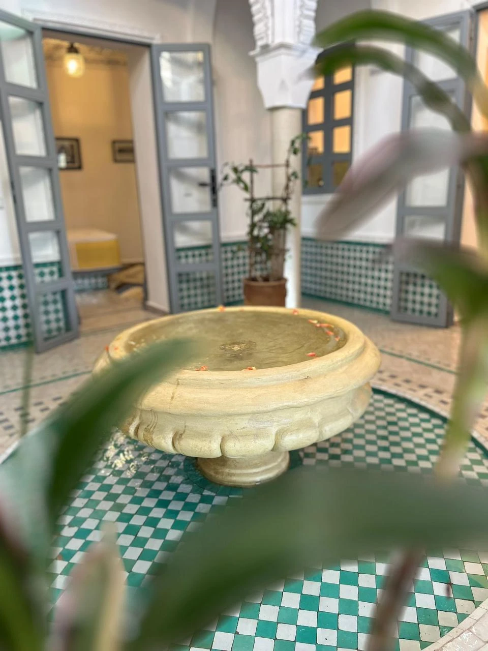 Dayaa Zitoune WhatsApp Image 2025 11 10 At 23.51.06 5