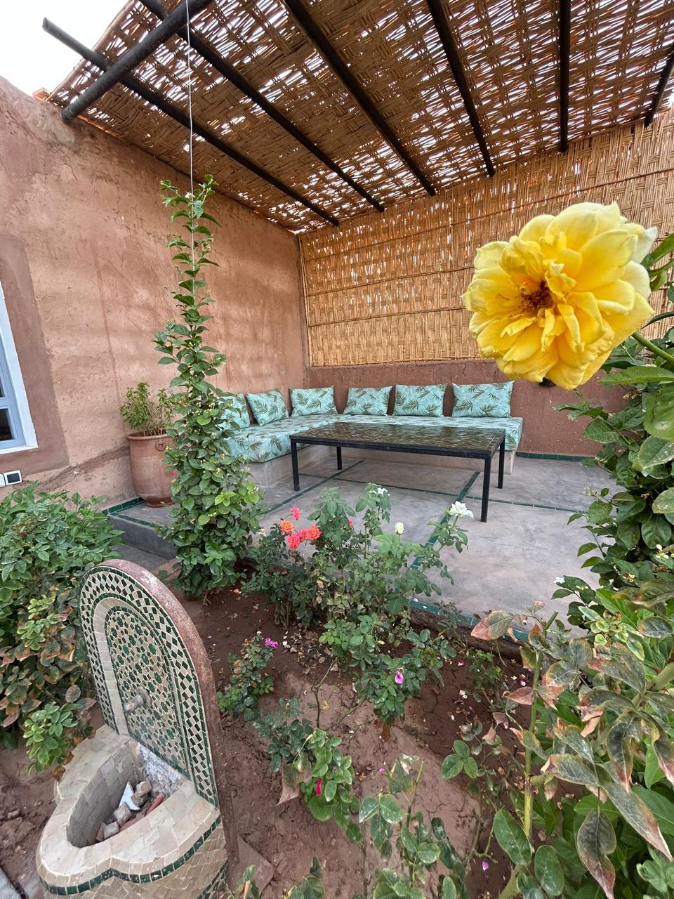 Dayaa Zitoune WhatsApp Image 2025 11 18 At 14.19.05