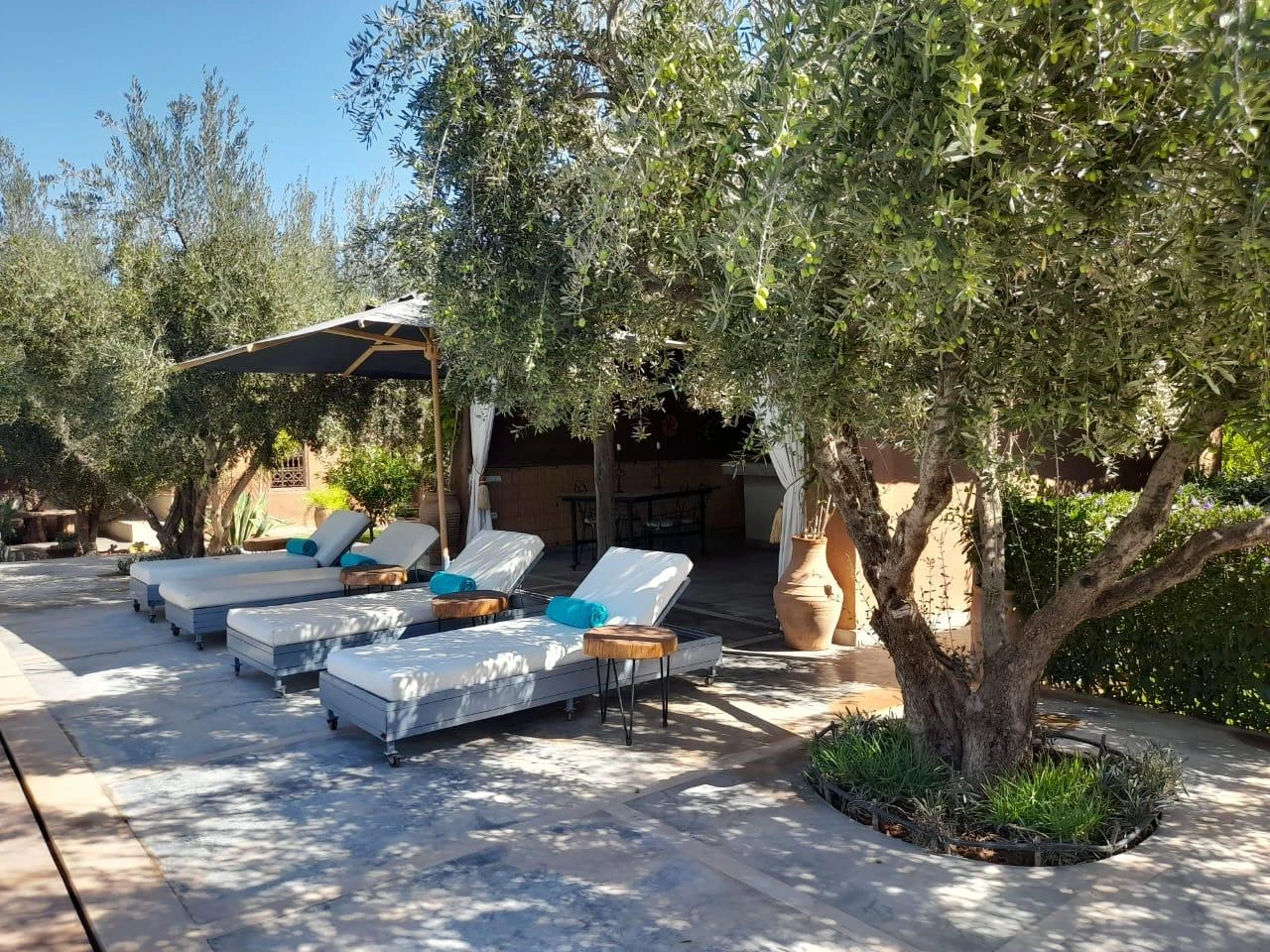 Dayaa Zitoune WhatsApp Image 2025 11 18 At 14.19.07 1