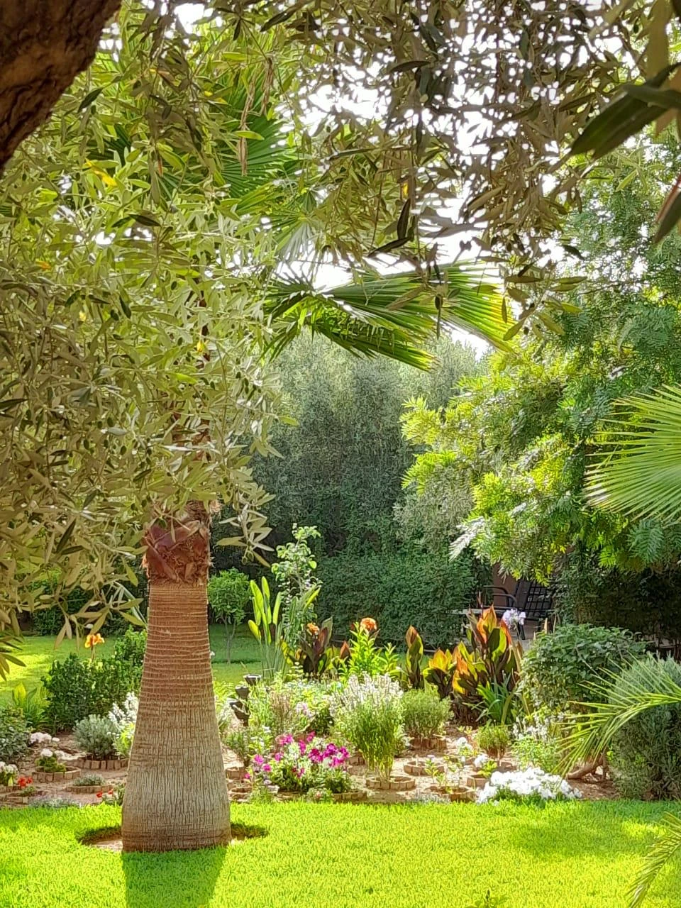 Dayaa Zitoune WhatsApp Image 2025 11 18 At 14.19.07 5