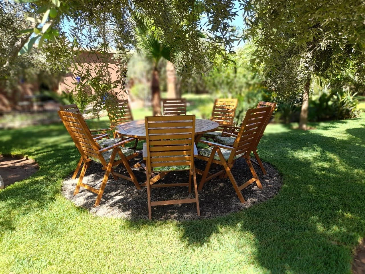 Dayaa Zitoune WhatsApp Image 2025 11 18 At 14.19.07