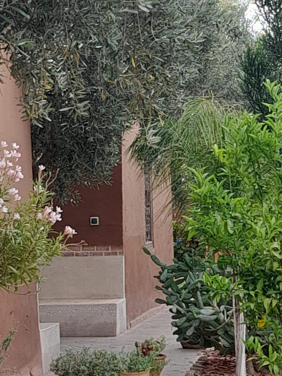 Dayaa Zitoune WhatsApp Image 2025 11 18 At 14.19.08 2