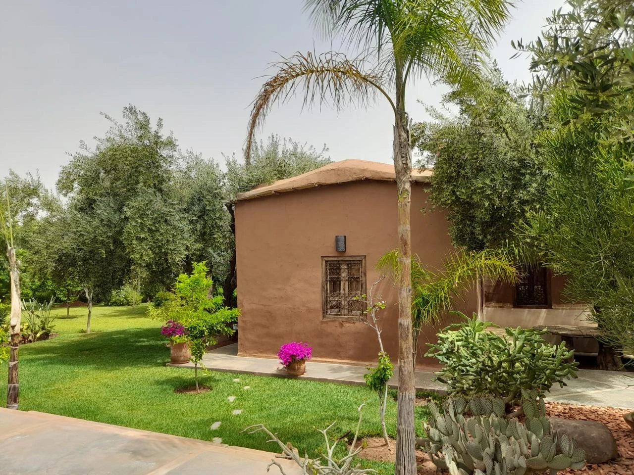 Dayaa Zitoune WhatsApp Image 2025 11 18 At 14.19.08 3