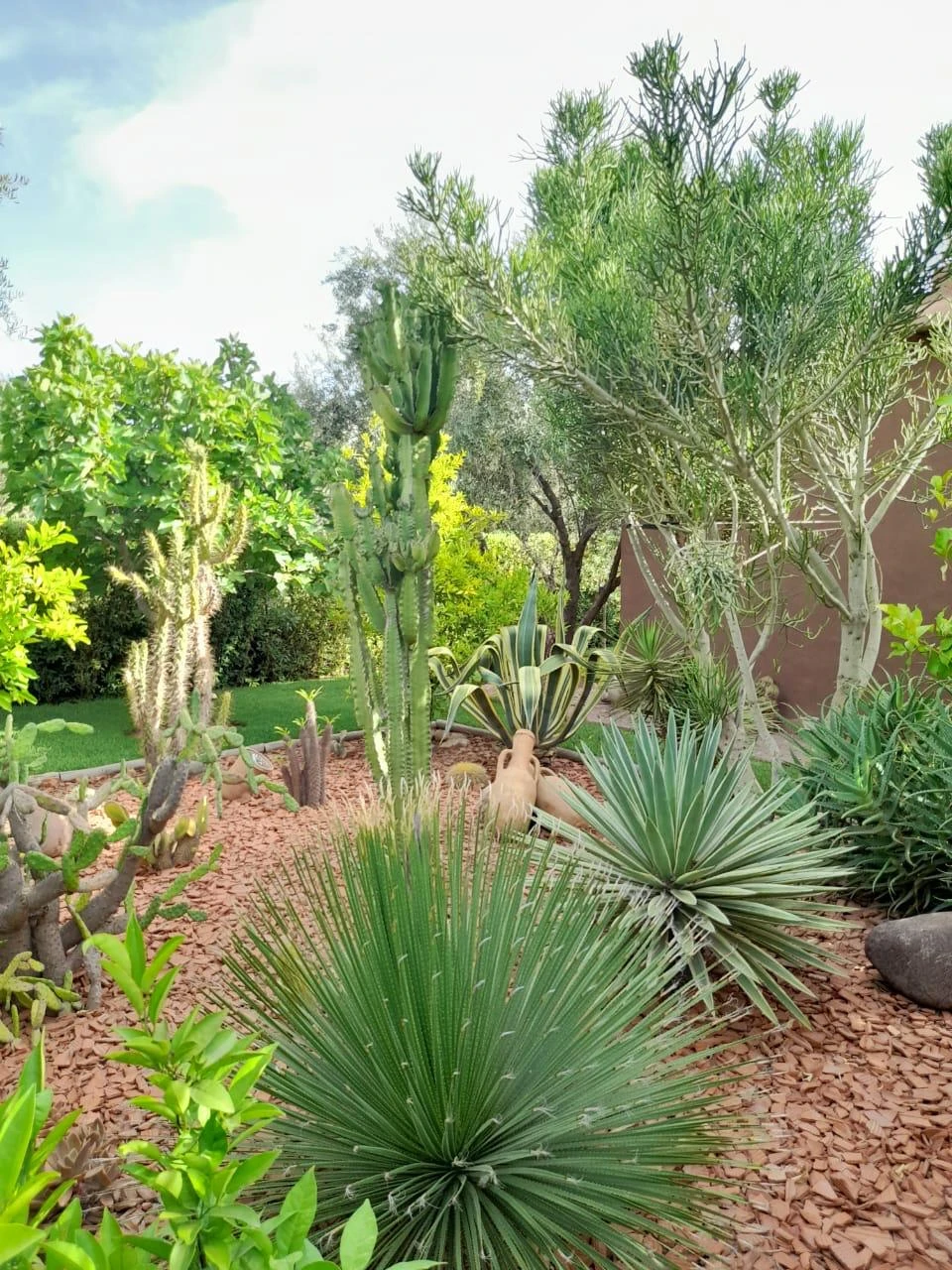 Dayaa Zitoune WhatsApp Image 2025 11 18 At 14.19.08