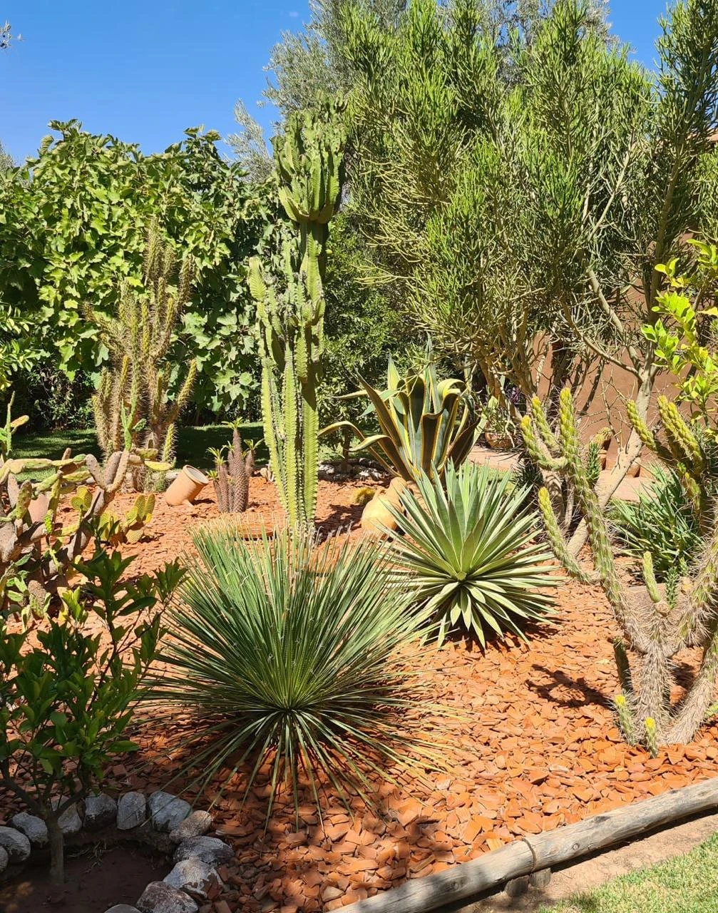 Dayaa Zitoune WhatsApp Image 2025 11 18 At 14.19.09 4