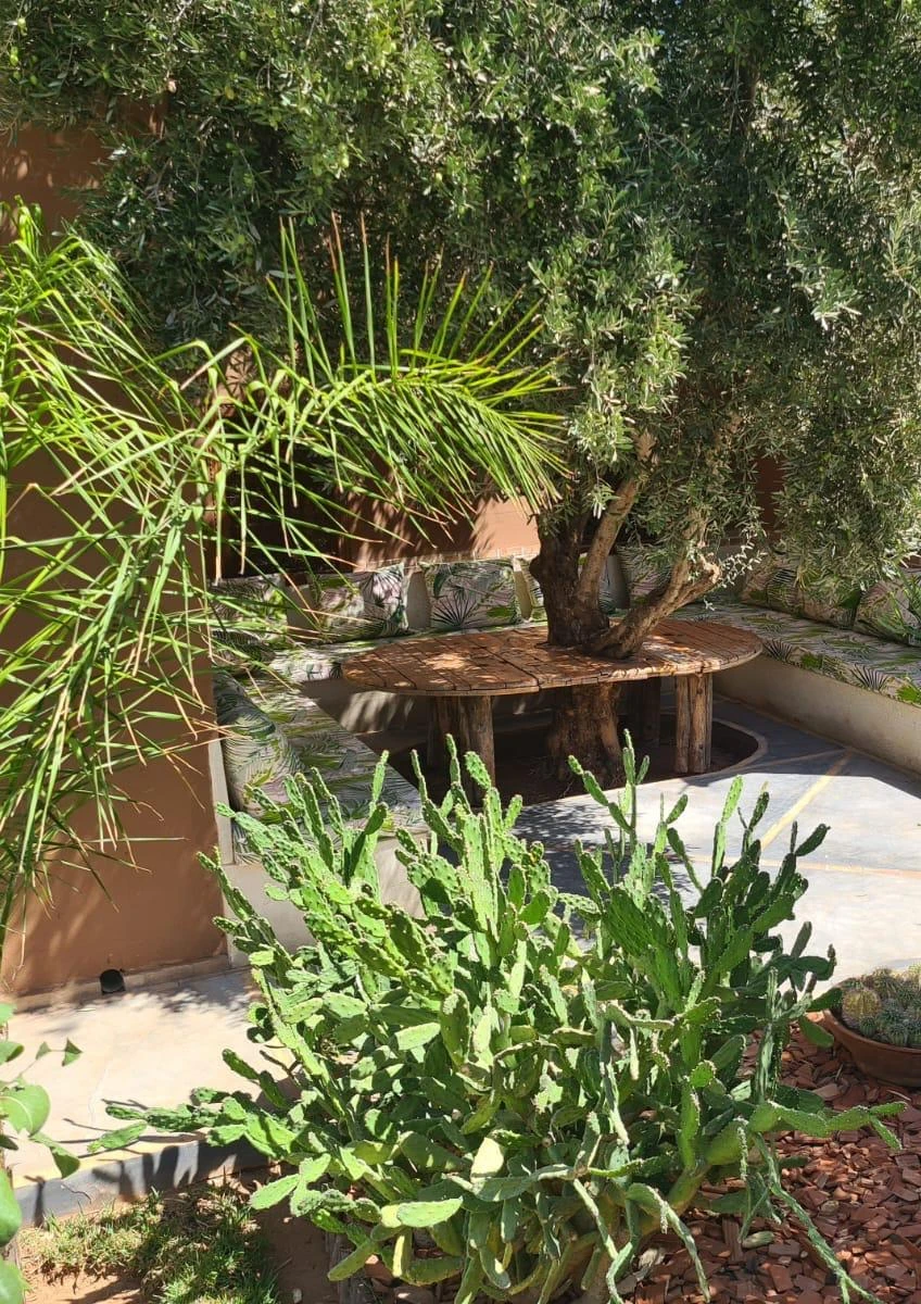 Dayaa Zitoune WhatsApp Image 2025 11 18 At 14.19.09 5