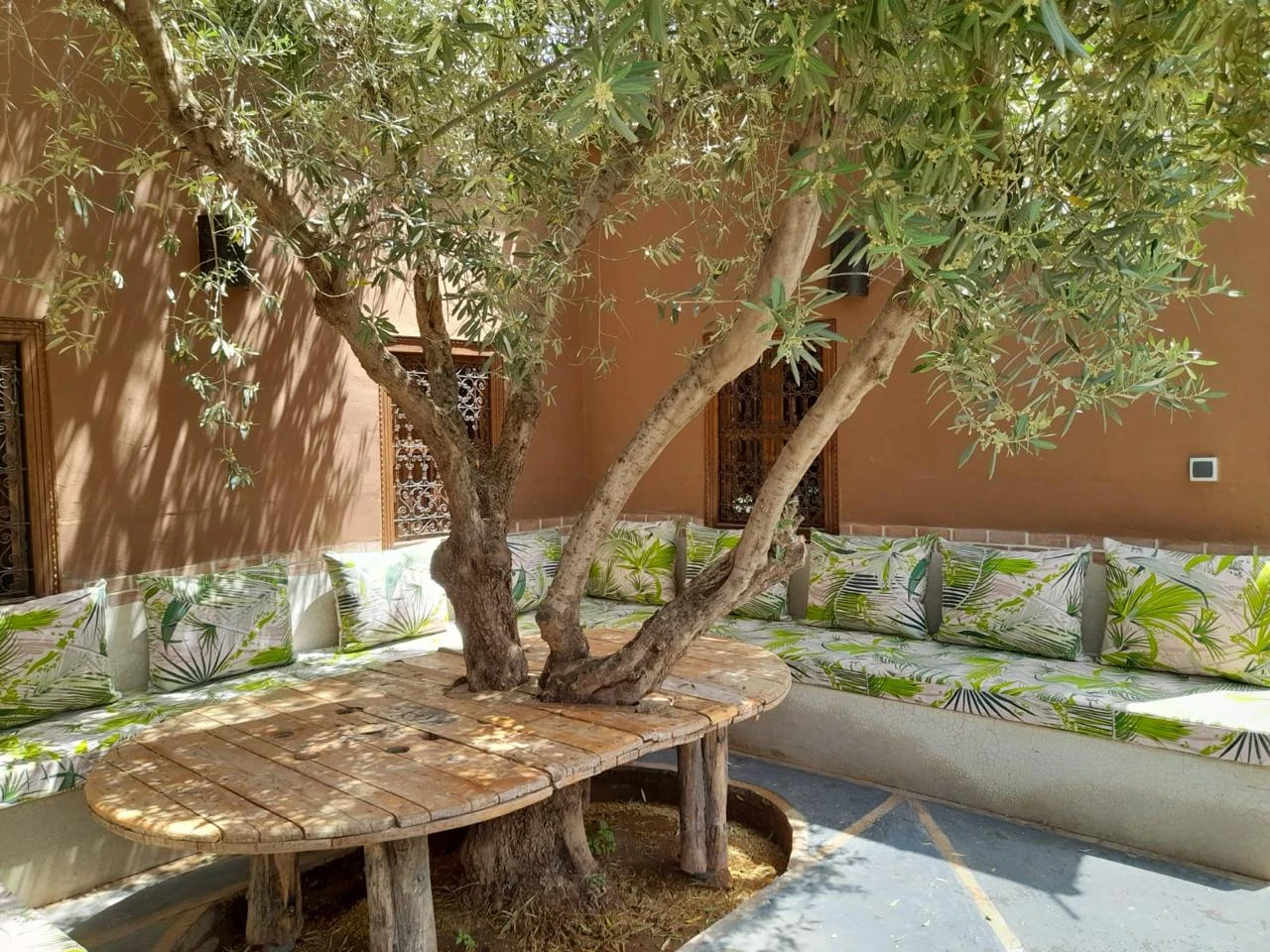 Dayaa Zitoune WhatsApp Image 2025 11 18 At 14.19.11