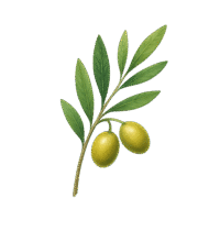 logo png