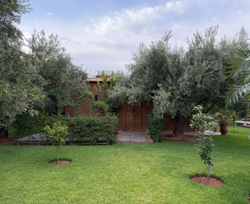 Dayaa Zitoune IMG 5466 1 Dayaa Zitoune IMG 5466 1